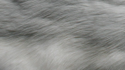 Natural snow white fabbit pelt